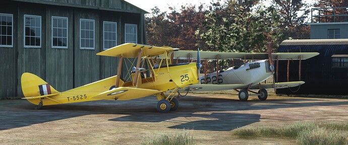 Tiger Moth and Jenny Together at MAM