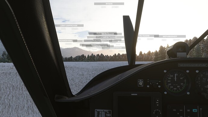 Microsoft Flight Simulator 08.01.2022 0_47_38