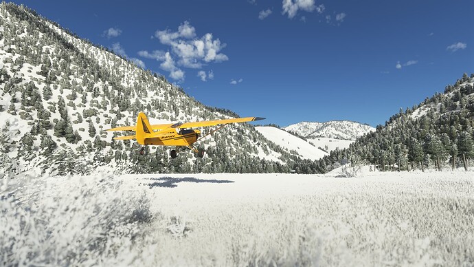 Microsoft Flight Simulator Screenshot 2022.12.02 - 22.38.39.62 (2)