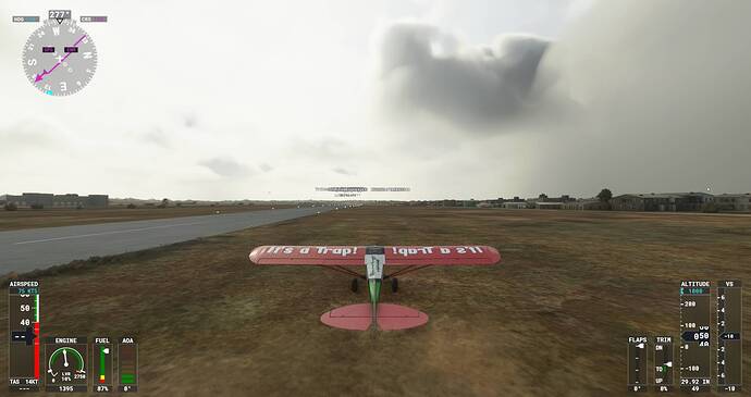Microsoft Flight Simulator Screenshot 2021.07.29 - 20.30.00.15