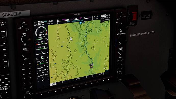 Microsoft Flight Simulator 2021-05-17 08_42_56