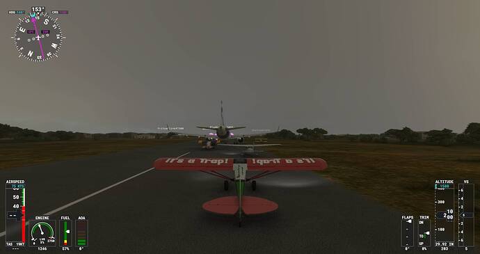 Microsoft Flight Simulator Screenshot 2021.07.29 - 22.09.18.71