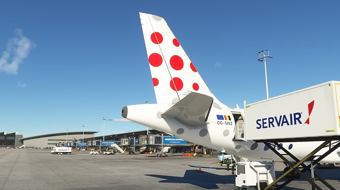 FlightSimulator_7zV3bonpBs