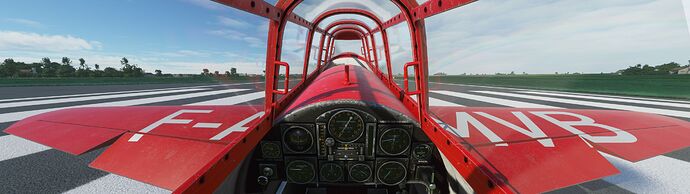 Microsoft Flight Simulator 5_28_2021 4_11_04 PM_result