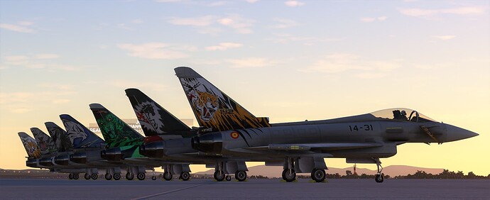 tigermeet2
