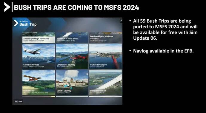 Bush Trips back in 2024