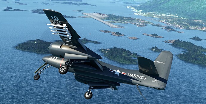 Microsoft Flight Simulator 8_22_2023 4_27_56 PM