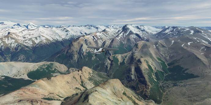 Patagonia bush trip 9
