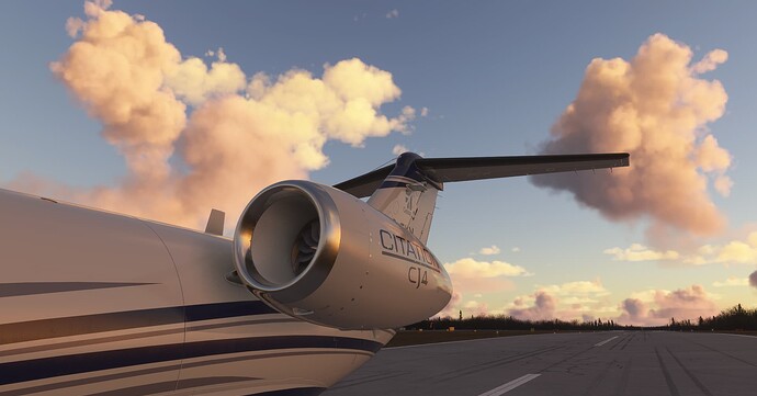 Microsoft Flight Simulator 2024 Screenshot 2025.03.25 - 01.59.08.45