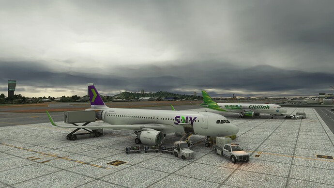 Microsoft Flight Simulator Screenshot 2021.11.01 - 16.40.24.50