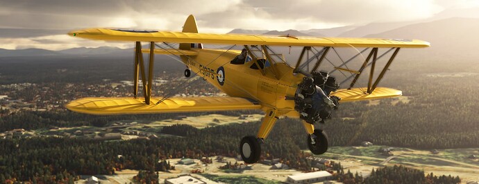Microsoft Flight Simulator 1_19_2024 12_29_54 PM