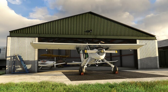 MSFS_PZL104Wilga_108