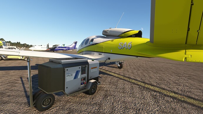 Microsoft Flight Simulator 19_1_2024 23_25_36