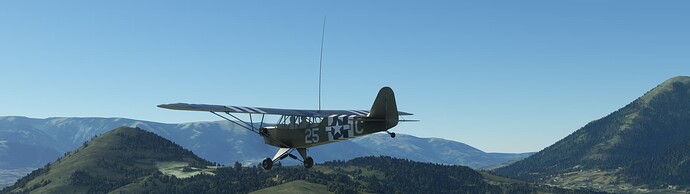 Microsoft Flight Simulator 6_2_2022 10_39_53 PM