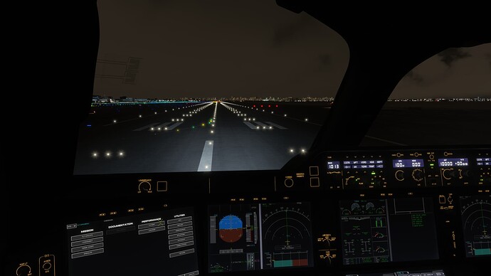Microsoft Flight Simulator 2024 02_04_2025 9_50_29 pm