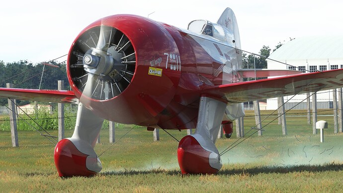 52041332005_d40146aa72_k