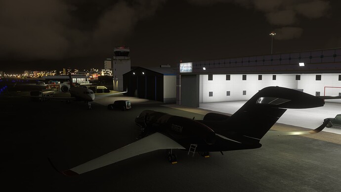 FlightSimulator2024 2025-09-21 19-55-43_239