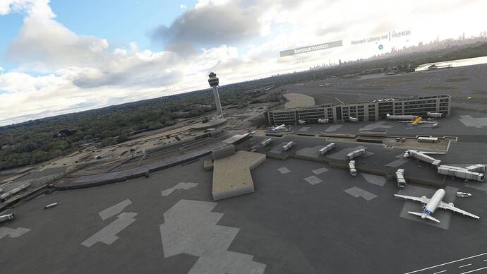 Microsoft Flight Simulator 2021-08-15 오전 9_48_01
