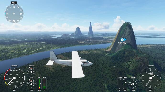 Microsoft Flight Simulator 5_15_2021 12_18_42 PM