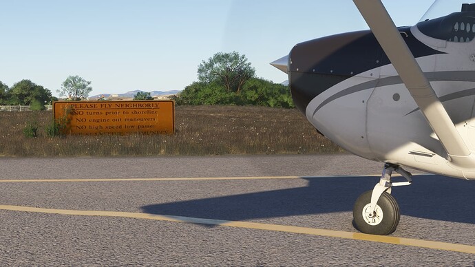 Microsoft Flight Simulator 2024 Screenshot 2025.01.01 - 18.02.13.95_Snapseed