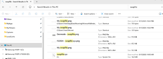 FS2024 - This PC - swapfile