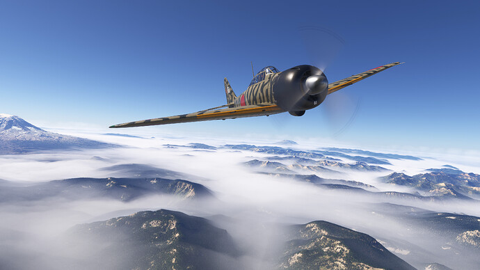 54816377546_720fe7e6e4_4k