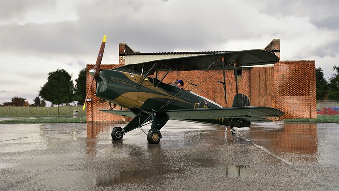 Microsoft Flight Simulator Screenshot 2021.12.29 - 20.05.51.22