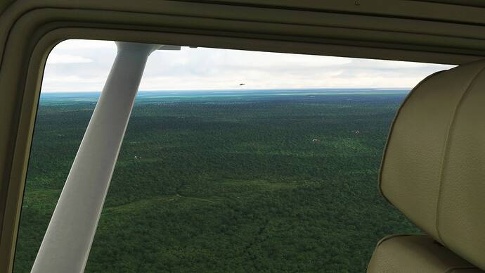 Microsoft Flight Simulator Screenshot 2021.08.03 - 06.23.33.15