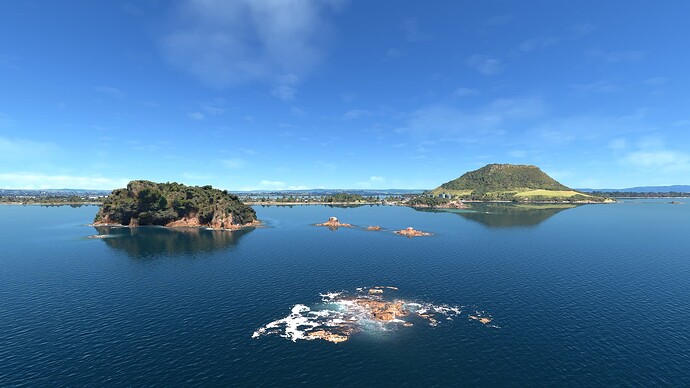 Microsoft Flight Simulator 2_25_2023 2_22_23 PM