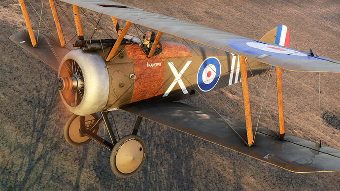 55123727420_78f82d4a27_4k