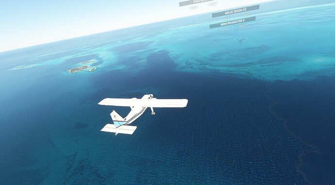 CommunityFlight_02022024