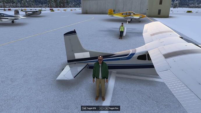 Bug - Static 185 Skywagon II Decal