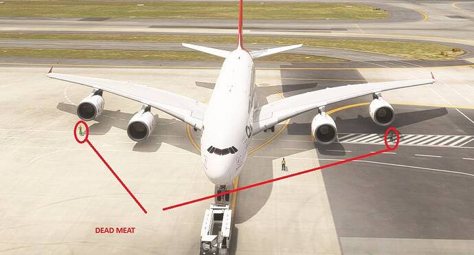 Microsoft Flight Simulator 2024 20-February-2025 12_48_40