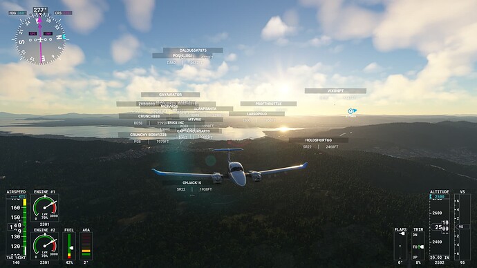 Microsoft Flight Simulator Screenshot 2022.02.11 - 21.46.06.95