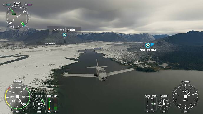 Microsoft Flight Simulator 6_18_2021 8_04_36 PM