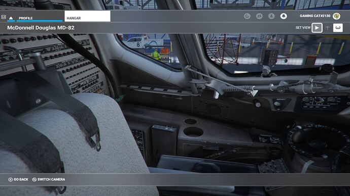 Microsoft Flight Simulator 09_05_2022 17_36_53