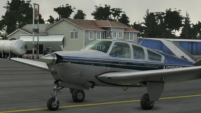 Microsoft Flight Simulator 19_08_2022 17_30_21