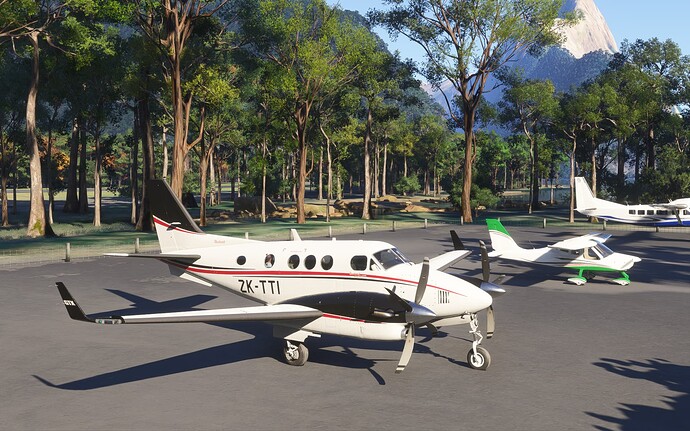 Microsoft Flight Simulator 2024 24-1-2025 21_46_39