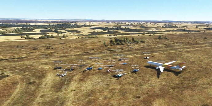 Microsoft Flight Simulator 1_13_2022 5_19_50 PM (2)