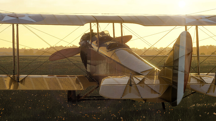 55058450597_dd342ed7ab_4k