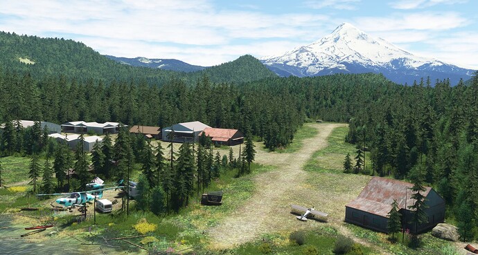 Mount Hood in the distance