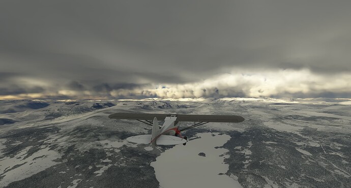 Microsoft Flight Simulator 3_8_2023 1_51_43 PM