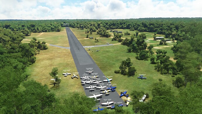 Microsoft Flight Simulator - 1.24.5.0 07.04.2022 22_23_50