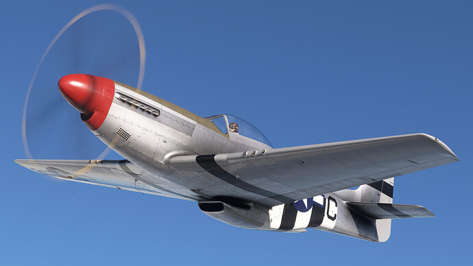 53780466261_412e873469_k