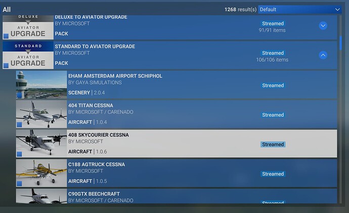Microsoft Flight Simulator 2024 12_11_24 09_34_19