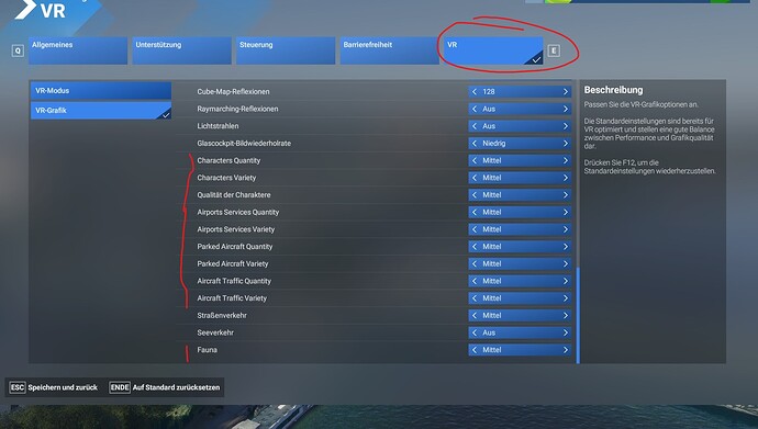 MSFS_Settings_VR_ BUG
