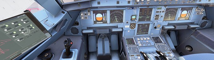 Microsoft Flight Simulator 2024 1_24_2025 7_09_42 PM