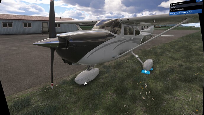cessna_chock_bug