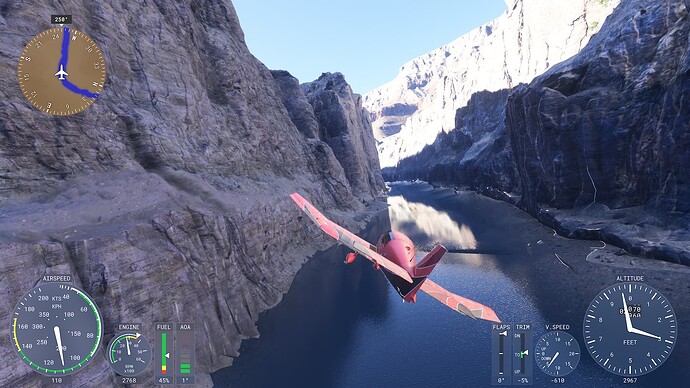 Microsoft Flight Simulator 2024-2024_12_05-19_27_59