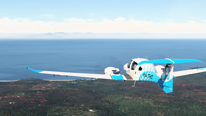 Microsoft Flight Simulator Screenshot 2025.01.10 - 21.35.20.18